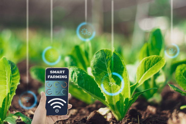 Умный фермер, держащий смартфон, иконка интерфейса сельскохозяйственной фермы фон, концепция управления сельскохозяйственной продукцией с искусственным интеллектом или технологии искусственного интеллекта, производство смарт-сельского хозяйства в будущее - Фото, изображение