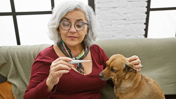 Зрелая женщина исследует термометр, утешая собаку в уютной гостиной. - Фото, изображение
