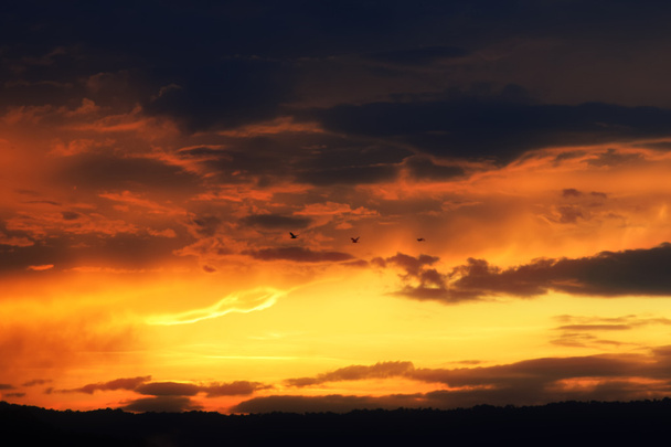 Dramático cielo borroso al atardecer con nubes naranjas y aves
.  - Foto, Imagen