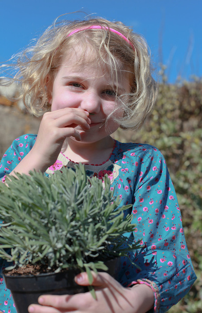 Kaunis tyttö haisee laventeli
 - Valokuva, kuva