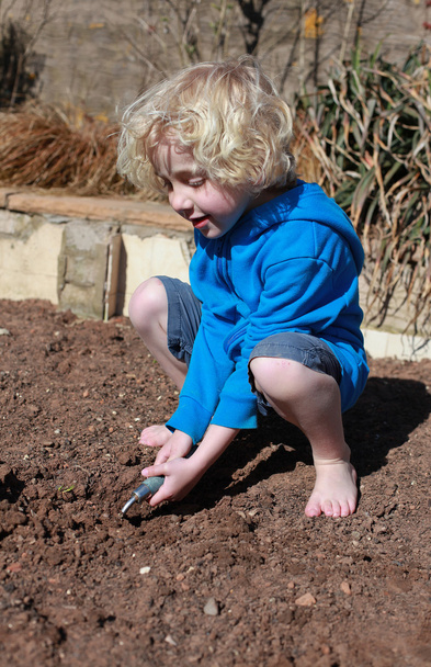 Niño pequeño cavando
 - Foto, imagen