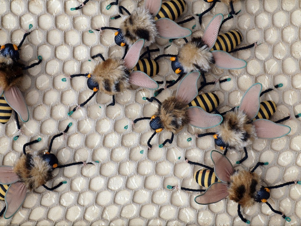 Peine y abeja
 - Foto, imagen