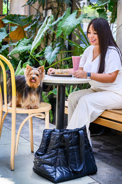 Femme gaie avec un smoothie se trouve avec son terrier yorkshire dans un café extérieur entouré de verdure - Photo, image