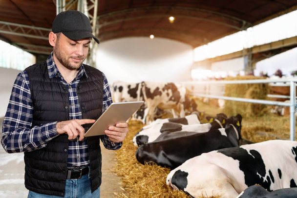 Man moderne boer werkt aan zijn digitale tablet in veehouderij. - Foto, afbeelding