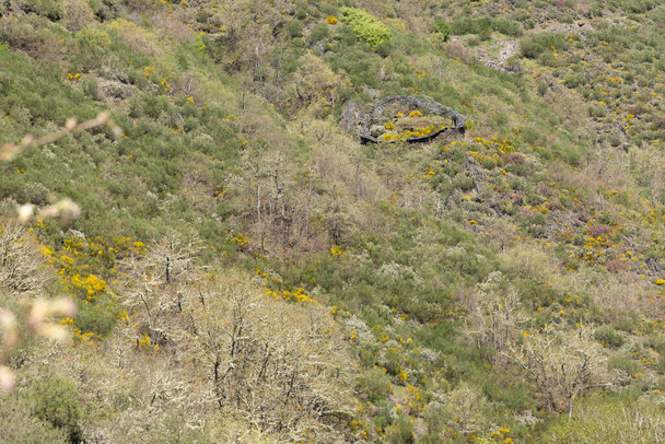 Cortina de pedra redonda abandonada estrutura de proteção colmeia de ursos na paisagem da montanha em um dia ensolarado brilhante primavera com flores em Astúrias Espanha. - Foto, Imagem