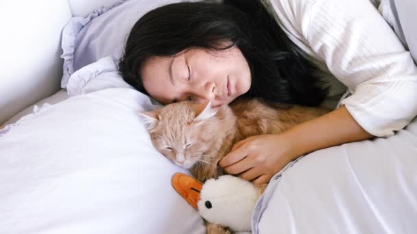 Nuori aasialainen nainen nukkuu pörröinen inkivääri kissa sängyssä. Kissa ja kiinalainen tyttö sisätiloissa nukkuu yhdessä ystävyys rakkaus lemmikki. - Materiaali, video