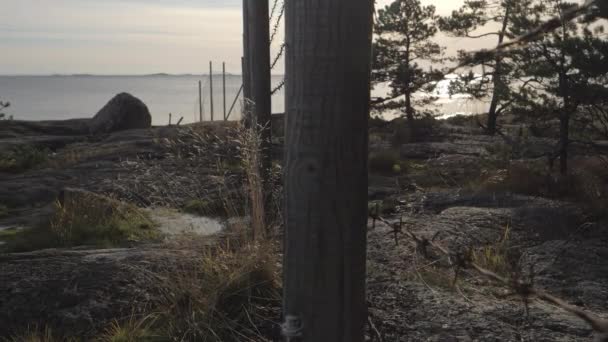 Bliższe spojrzenie na małe trawy na ziemi z drutami kolczastymi na wybrzeżu - Materiał filmowy, wideo