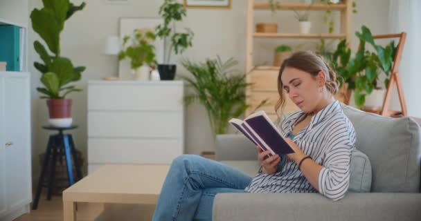 Žena sedí pohodlně na pohovce, zabraná do učení, když čte knihu, obohacuje si mysl v útulném prostředí domova - Záběry, video