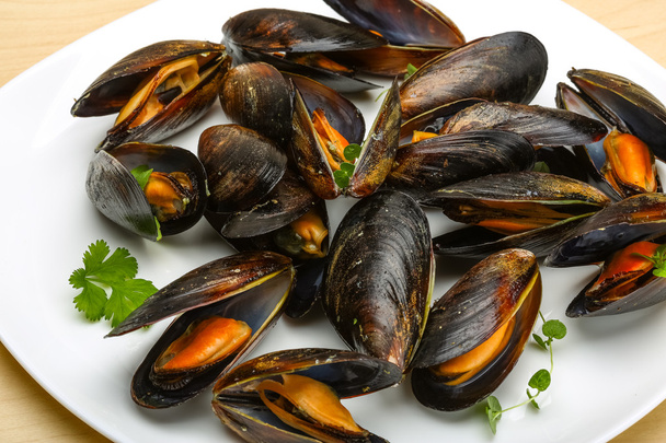 Boiled mussels - Photo, Image