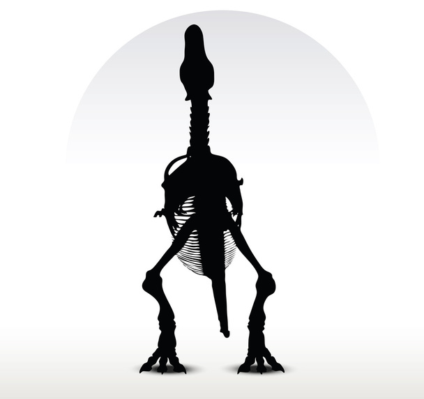 dinosaurs trex skeleton - Vector, Image