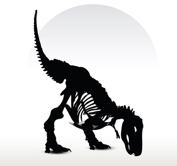 esqueleto de trex dinossauros
 - Vetor, Imagem