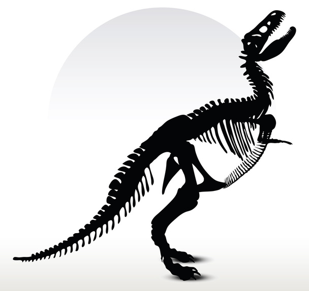 Dinozaury trex szkielet - Wektor, obraz