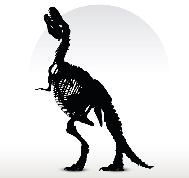 dinosaures trex squelette
 - Vecteur, image