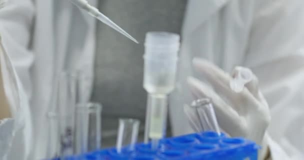 Techniker füllt Pipette mit Flüssigkeit aus Reagenzglas im medizinischen Zentrum Nahaufnahme. Labormitarbeiter untersucht organische Materialien auf Infektionskrankheiten - Filmmaterial, Video