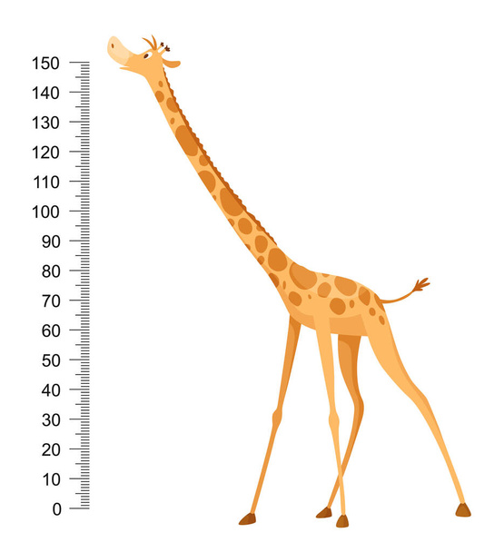 Hauska kirahvi. Iloinen hauska kirahvi, jolla on pitkä kaula. Kirahvimittarin seinä- tai korkeuskaavio tai seinätarra. Kuva asteikolla 0-150 senttimetriä kasvun mittaamiseksi. - Vektori, kuva