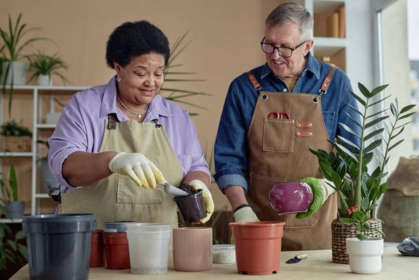 Portrait taille haute de deux personnes âgées souriantes appréciant jardinage passe-temps ensemble et rempotage plantes à l'intérieur, espace de copie - Photo, image