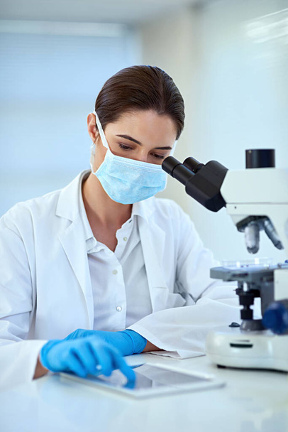 Tudós, mikroszkóp és nő a laborban tablettával orvosi vizsgálatra, elemzésre és őssejt kutatásra. Biotechnológia, vizsgálat és személy DNS-kísérletekkel, eredmények és baktériumteszt. - Fotó, kép