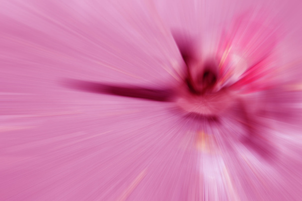 pink color tone radial motion blur for abstract background - Photo, Image