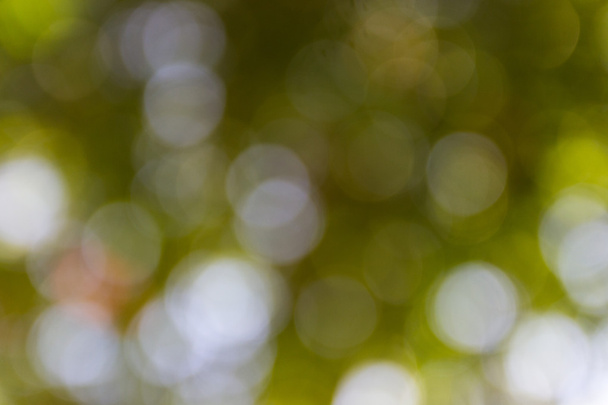Натуральный боке фон в зеленых и желтых тонах
 - Фото, изображение