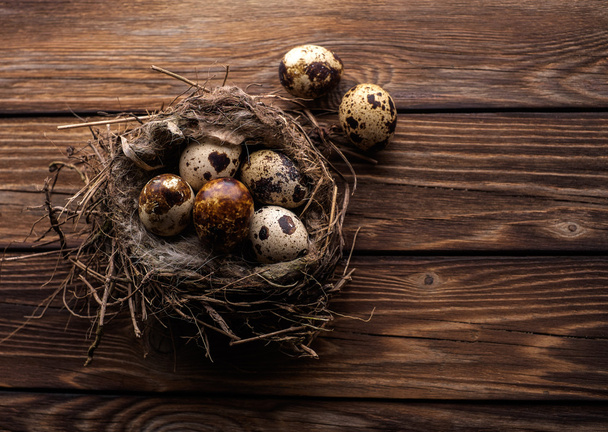 Quail eggs in the nest on a wooden board. - Foto, afbeelding