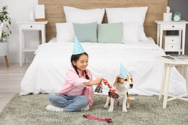 Küçük tatlı Asyalı kız ve parti şapkalı Beagle köpeği yatak odasında oynuyorlar. - Fotoğraf, Görsel