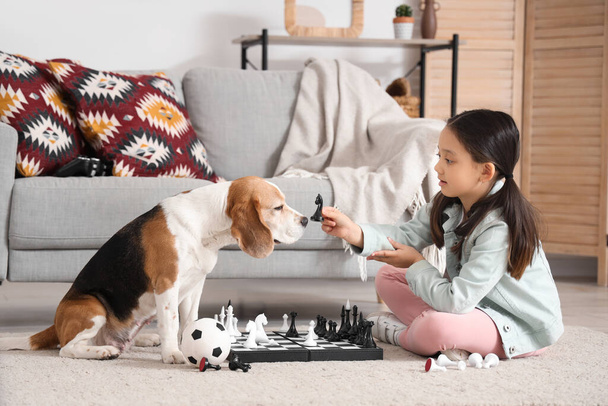Nettes kleines asiatisches Mädchen mit Beagle-Hund beim Schachspielen zu Hause - Foto, Bild