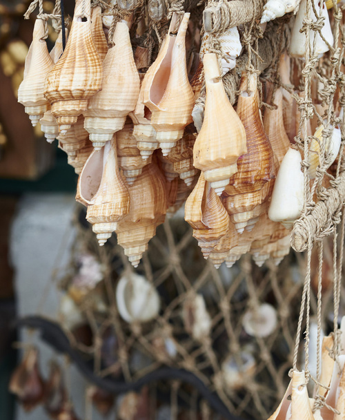 cáscara decorativa en el mercado
 - Foto, Imagen