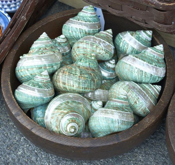decoratieve shell op de markt - Foto, afbeelding
