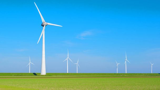 Живописный вид на ветряную ферму в Нидерландах Flevoland с несколькими ветряными мельницами, вращающимися на заднем плане на фоне ясного неба. зеленые сельскохозяйственные угодья с ветряными мельницами - Фото, изображение