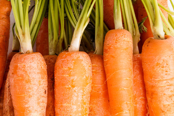 Bunch of Carrots , close up and macro - Photo, Image