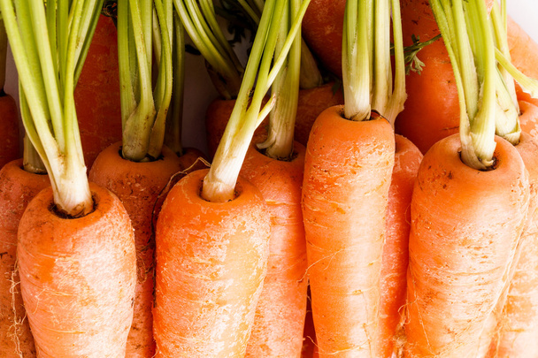 Μάτσο καρότα, close up και μακρο - Φωτογραφία, εικόνα