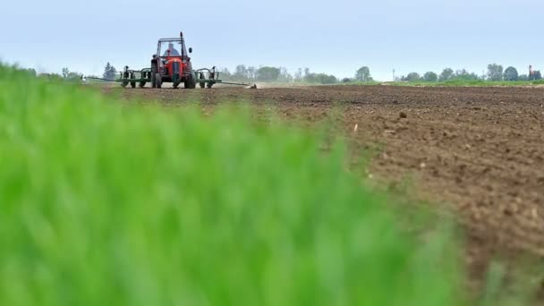 Traktor auf einem Feld mit Maisaussaat - Filmmaterial, Video