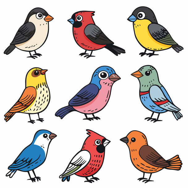 Πολύχρωμα πουλιά κινουμένων σχεδίων που αντιμετωπίζουν διάφορες κατευθύνσεις, ζωντανό φτέρωμα, χαρούμενα πουλιά χαρακτήρες. Φωτεινά εικονογραφημένα φτερωτά ζώα, θέμα ορνιθολογίας, απλές πινελιές, καλλιτεχνικό στυλ κινουμένων σχεδίων - Διάνυσμα, εικόνα