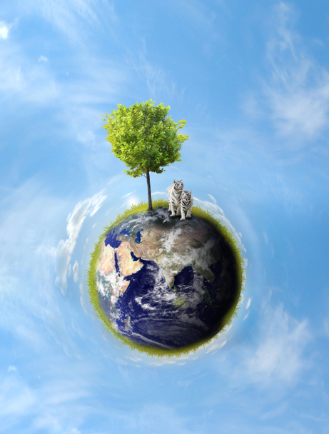 Planet with tree - Photo, Image