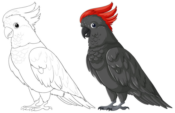 Vector illustration of two cockatoos, one colorful - Vector, Image