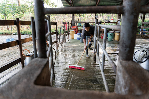Egy fiatal spanyol férfi takarítja a tejgazdaság fejőcsarnokának padlóját, biztosítva a tiszta és higiénikus környezetet. - Fotó, kép