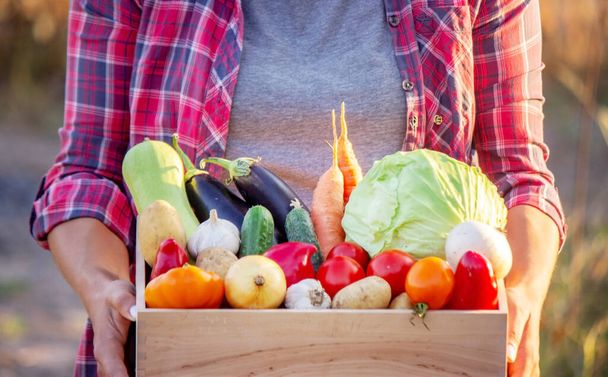 新鮮な野菜でいっぱいの木箱を持っている女性農家. 野菜とバスケット - 写真・画像