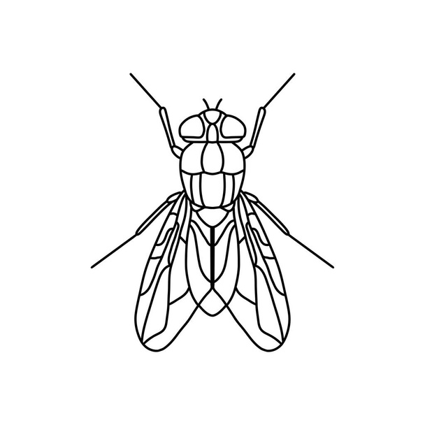 lentää hyönteinen ääriviivat icon.fly linja taiteen vektori kuva. Doodle line graafinen suunnittelu. Musta ja valkoinen piirustus hyönteinen. - Vektori, kuva