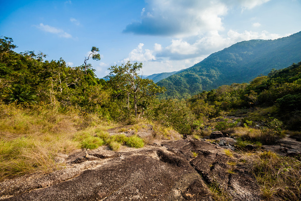 Dschungel-Trekking auf Koh Phangan - Foto, Bild