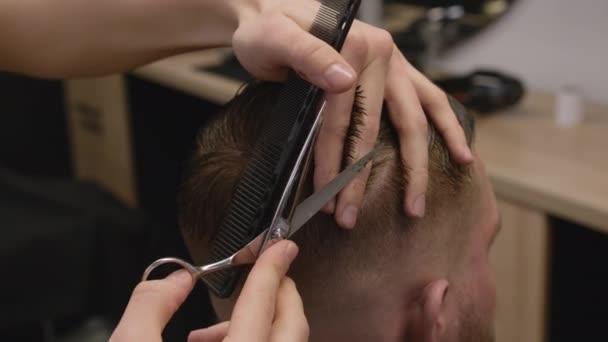 Coiffeur corta o cabelo do cliente masculino usando pente e tesoura em barbearia closeup. Cabeleireiro fornece o melhor tratamento para o homem no salão - Filmagem, Vídeo
