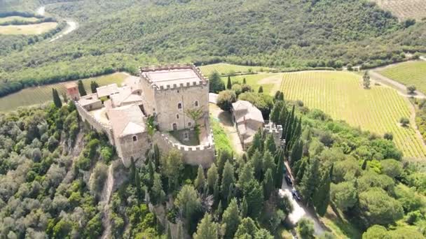 Vista aérea del castillo de Ripa Orcia en verano, Italia - Metraje, vídeo