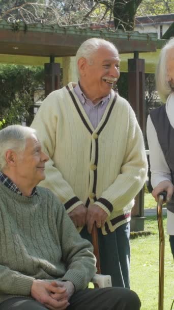 Gli anziani felici passano del tempo insieme all'aperto. Video verticale. - Filmati, video