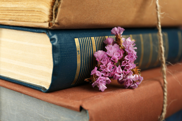 Stack of books with dry flowers close up - Foto, afbeelding