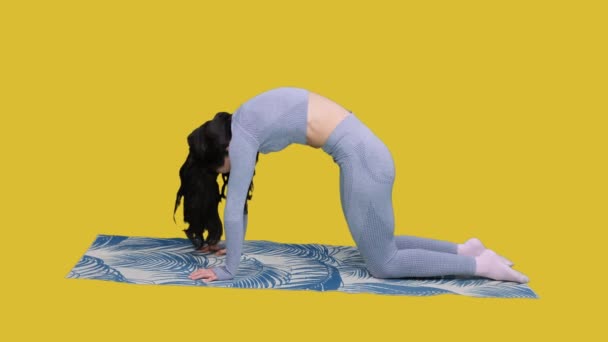 Sportive young woman warming up by doing the cat pose on the exercise mat on yellow isolated background. Body health concept - Footage, Video