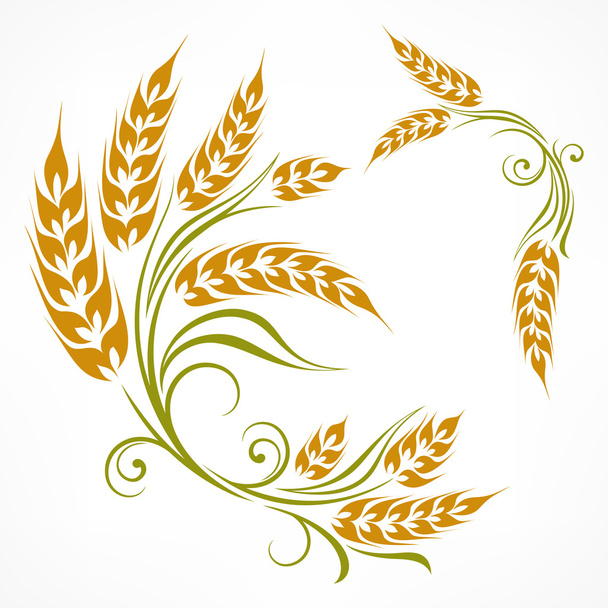 Stylized wheat pattern - Vector, Imagen