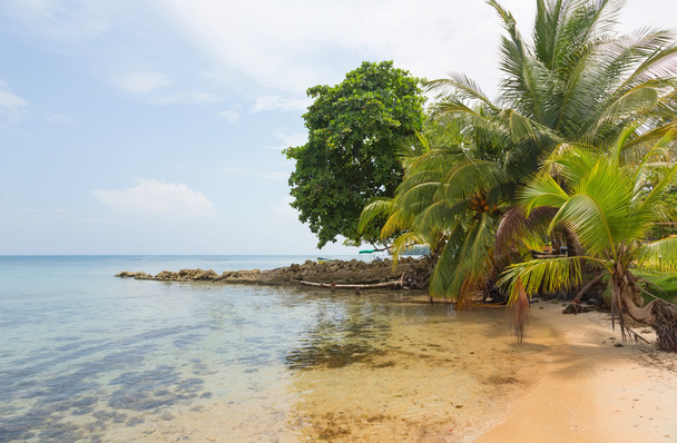 Plaży Boca del Drago, Panama - Zdjęcie, obraz