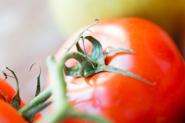 close up of ripe juicy red tomatoes - Foto, afbeelding