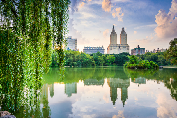 Центральный парк Нью-Йорка
 - Фото, изображение