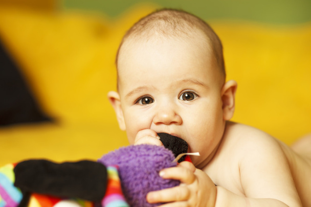 Şirin Bebek, 6 aylık - Fotoğraf, Görsel