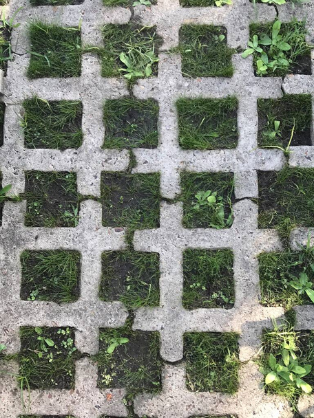 スラブプロット - 草. 草のための穴が付いているプレキャスト コンクリート - 写真・画像
